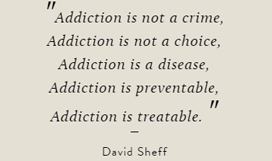 Addiction is not a crime quote by David Sheff